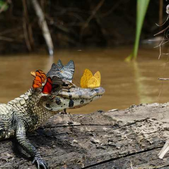 Meet your Posher, Alex! - Picture 1 of 1